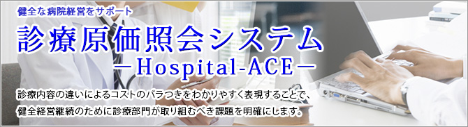 診療原価照会システム―Hospital-ACE―TOP画像